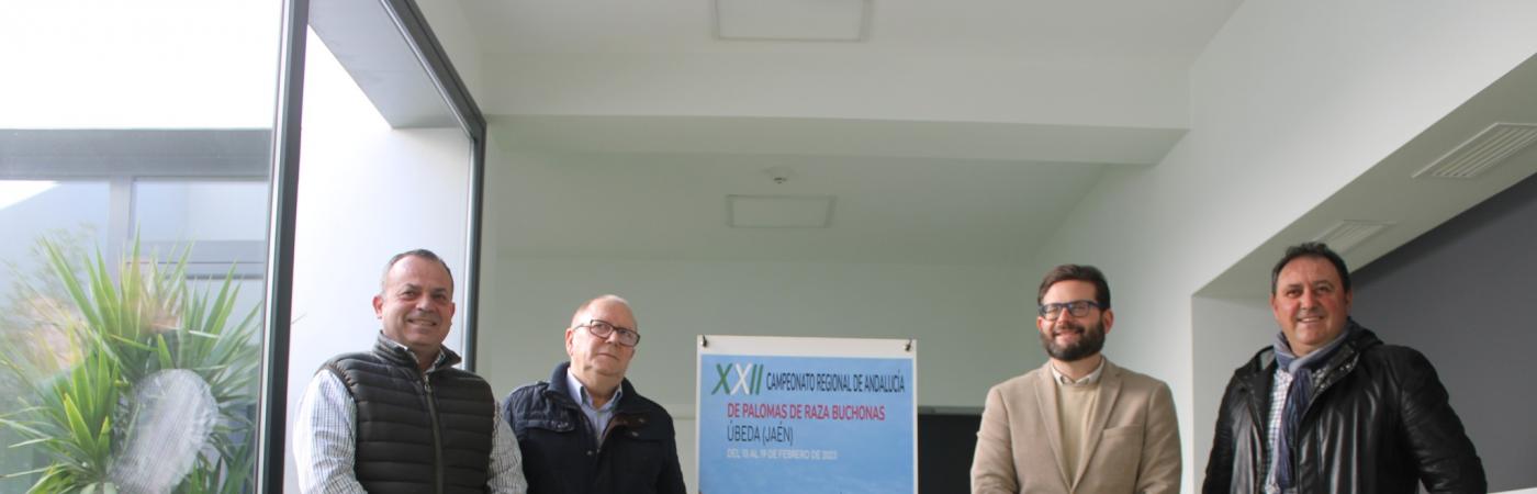 Banner Cabecera